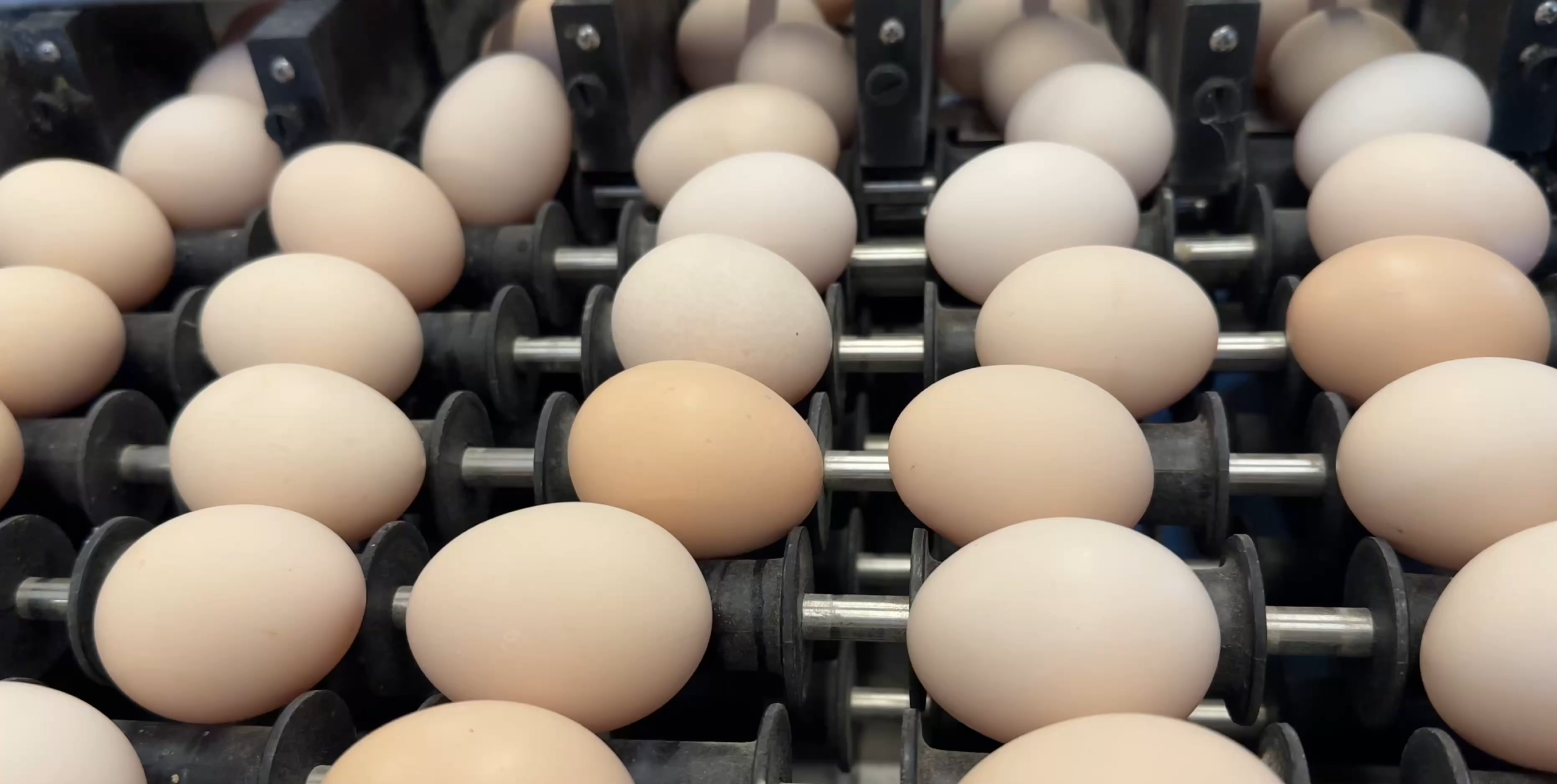 Poster Kennzeichnung